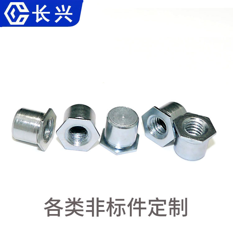 非標定制,非標螺絲,非標加工,來圖來樣加工,軸類,銷類不銹鋼碳鋼鍍銅鋁材質(zhì)